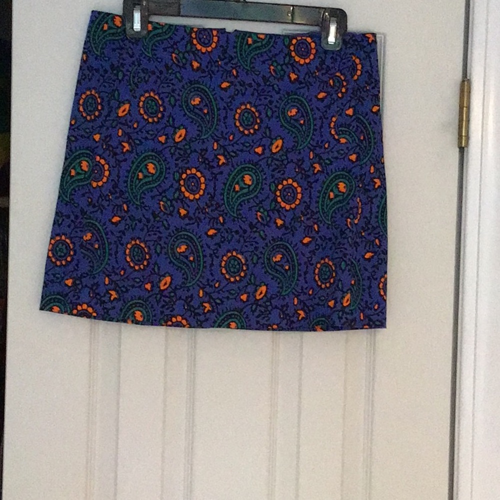 Jcrew skirt size 2